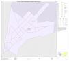 Thumbnail image of item number 1 in: 'P.L. 94-171 County Block Map (2010 Census): Starr County, Inset I01'.