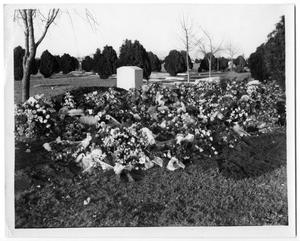 Primary view of object titled '[Flowers in graveyard]'.