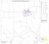 Primary view of P.L. 94-171 County Block Map (2010 Census): Atascosa County, Block 21