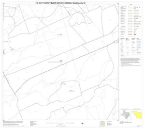 Primary view of object titled 'P.L. 94-171 County Block Map (2010 Census): Webb County, Block 28'.