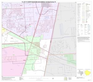 Primary view of object titled 'P.L. 94-171 County Block Map (2010 Census): Fort Bend County, Block 43'.