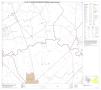 Map: P.L. 94-171 County Block Map (2010 Census): Karnes County, Block 10