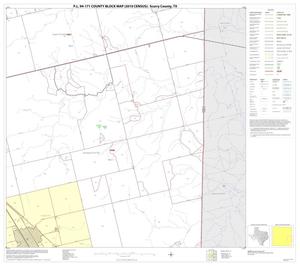 Primary view of object titled 'P.L. 94-171 County Block Map (2010 Census): Scurry County, Block 12'.