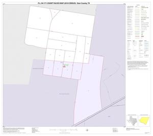 Primary view of object titled 'P.L. 94-171 County Block Map (2010 Census): Starr County, Inset F01'.