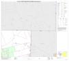 Primary view of P.L. 94-171 County Block Map (2010 Census): Ector County, Block 4