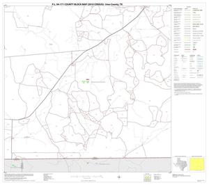 Primary view of object titled 'P.L. 94-171 County Block Map (2010 Census): Irion County, Block 11'.