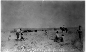 Primary view of object titled 'Branding on the Half Circle 84 Ranch'.