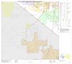 Map: P.L. 94-171 County Block Map (2010 Census): Travis County, Block 45