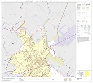 Primary view of object titled 'P.L. 94-171 County Block Map (2010 Census): Brown County, Inset E01'.