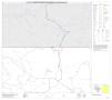 Map: P.L. 94-171 County Block Map (2010 Census): Palo Pinto County, Block 2