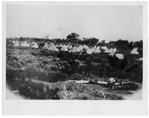 Primary view of object titled '[Panorama of Indian village]'.