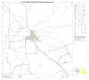 Map: P.L. 94-171 County Block Map (2010 Census): Lampasas County, Block 8