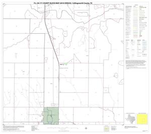 Primary view of object titled 'P.L. 94-171 County Block Map (2010 Census): Collingsworth County, Block 11'.