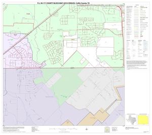 Primary view of object titled 'P.L. 94-171 County Block Map (2010 Census): Collin County, Block 98'.