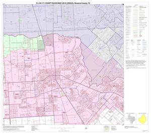 Primary view of object titled 'P.L. 94-171 County Block Map (2010 Census): Brazoria County, Block 2'.