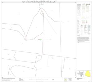 Primary view of object titled 'P.L. 94-171 County Block Map (2010 Census): Hidalgo County, Block 10'.