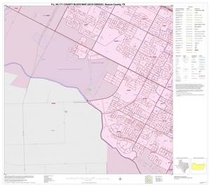 Primary view of object titled 'P.L. 94-171 County Block Map (2010 Census): Nueces County, Inset B05'.