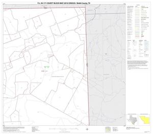 Primary view of object titled 'P.L. 94-171 County Block Map (2010 Census): Webb County, Block 7'.