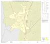 Map: P.L. 94-171 County Block Map (2010 Census): Hays County, Inset E01