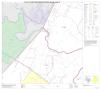 Map: P.L. 94-171 County Block Map (2010 Census): Bastrop County, Block 10