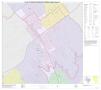 Primary view of P.L. 94-171 County Block Map (2010 Census): Zapata County, Inset B01