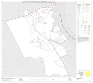 Primary view of object titled 'P.L. 94-171 County Block Map (2010 Census): Bosque County, Inset D01'.