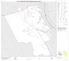 Thumbnail image of item number 1 in: 'P.L. 94-171 County Block Map (2010 Census): Bosque County, Inset D01'.