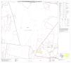 Map: P.L. 94-171 County Block Map (2010 Census): Starr County, Block 17
