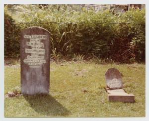 Primary view of object titled '[Grave Markers of Elizabeth Middlebrook and William W. Willis]'.
