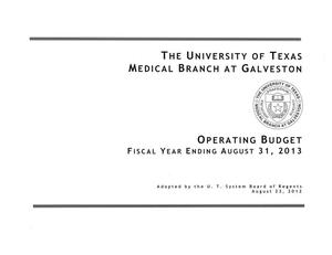 Primary view of object titled 'University of Texas Medical Branch at Galveston Operating Budget: 2013'.