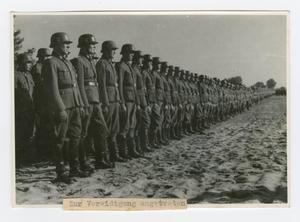 Primary view of object titled '[German Soldiers at Attention]'.