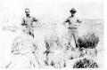 Photograph: [Wayne and Gene Cartledge standing in a field in Castolon]