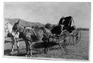 Primary view of object titled '[Man in a Carriage]'.