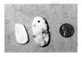 Photograph: Indian Artifacts found in Presidio County