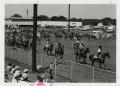 Photograph: [Photograph of Opening Ceremony in Rodeo]