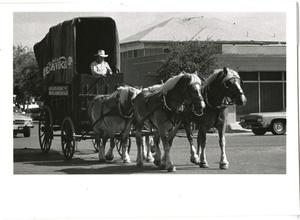 Primary view of object titled '[Photograph of Horse Carriage in Parade]'.
