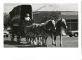 Photograph: [Photograph of Horse Carriage in Parade]