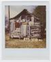 Photograph: [Old Log Cabin Photograph #3]