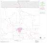 Map: 2000 Census County Subdivison Block Map: Graford CCD, Texas, Block 3
