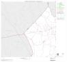 Map: 2000 Census County Subdivison Block Map: Pineland CCD, Texas, Block 1