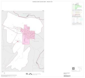 Primary view of object titled '2000 Census County Subdivison Block Map: Iraan CCD, Texas, Inset A01'.