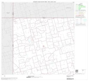 Primary view of object titled '2000 Census County Subdivison Block Map: Big Lake CCD, Texas, Block 1'.