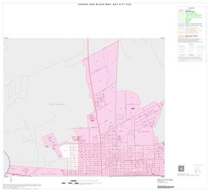 Primary view of object titled '2000 Census County Subdivison Block Map: Bay City CCD, Texas, Inset B01'.