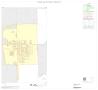 Map: 2000 Census County Subdivison Block Map: Freer CCD, Texas, Inset A01