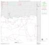 Thumbnail image of item number 1 in: '2000 Census County Subdivison Block Map: Encino CCD, Texas, Block 3'.