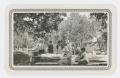 Primary view of [Sharpe and Brown Family Having a Picnic]