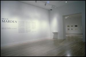 Primary view of object titled 'Brice Marden, Work of the 1990s: Paintings, Drawings, and Prints [Exhibition Photographs]'.
