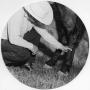 Photograph: Cowboy Inspecting Horse's Leg