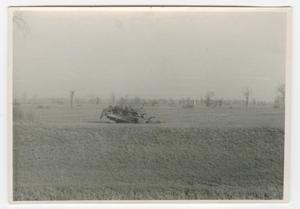 Primary view of object titled '[Destroyed Sherman Tank in a Field]'.