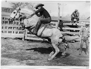 Primary view of object titled 'Monte Foreman on a Bucking Horse'.